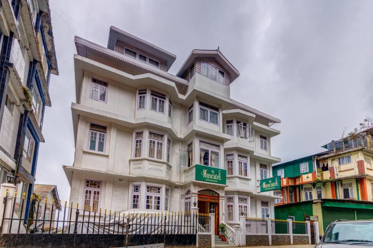 Muscatel Spring Burn - 100 Mts From Mall Road Darjeeling  Dış mekan fotoğraf